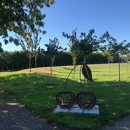 Self Contained Gem In The Country, Near To Town 호텔 Twyford 외부 사진